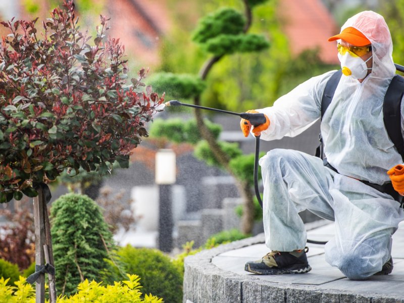 Beşiktaş Haşere İlaçlama