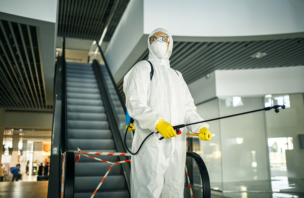 Beşiktaş Haşere İlaçlama